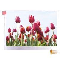 5.6 Duim tft lcd Comité