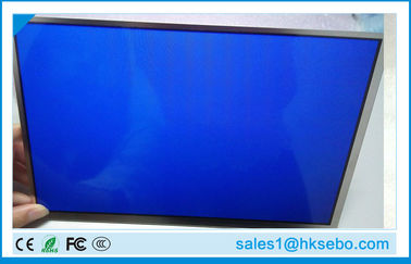 10.1 de Tabletlcd van Duim 1280 x 800 350nits Comité voor Tabletmonitor HJ101IA - 01G